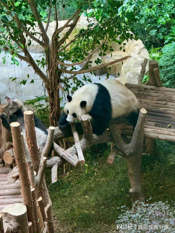四川适合几月份去旅游景点 玩转精华！j9九游会网址是什么成都的著名景点推荐(图2)